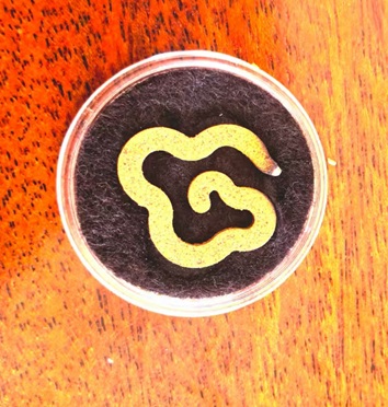 奇楠云香（20片装）